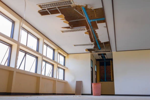 Best Carpet water damage restoration  in Arapahoe, WY