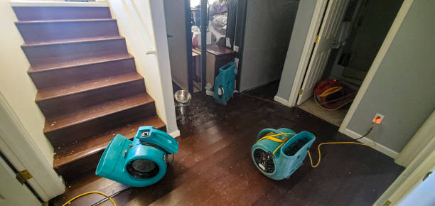 Best Mold removal after water damage  in Arapahoe, WY