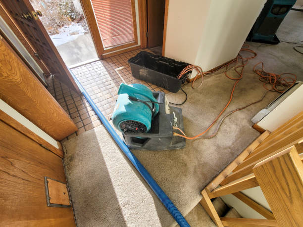 Best Fire Damage Restoration  in Arapahoe, WY