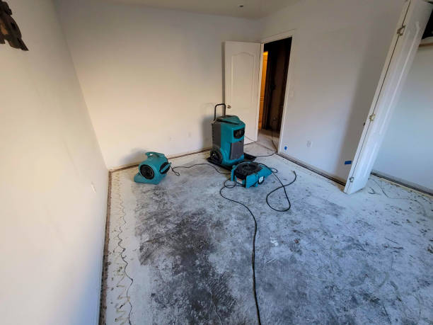 Trusted Arapahoe, WY Water damage restoration Experts