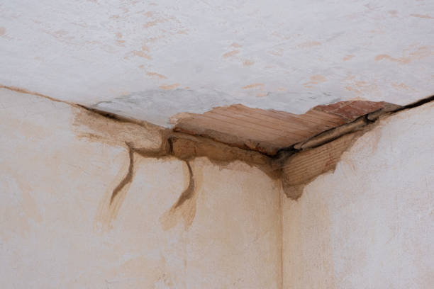 Best Water damage cleanup near me  in Arapahoe, WY