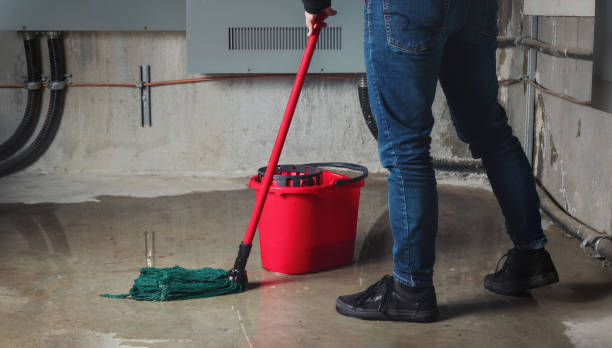Best Mold removal after water damage  in Arapahoe, WY