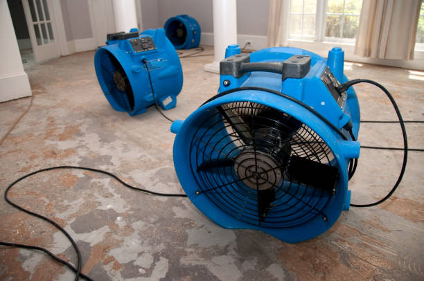 Best Water damage restoration experts  in Arapahoe, WY