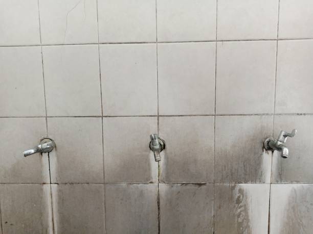 Best Flooded house restoration  in Arapahoe, WY