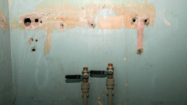 Best Emergency water damage restoration  in Arapahoe, WY