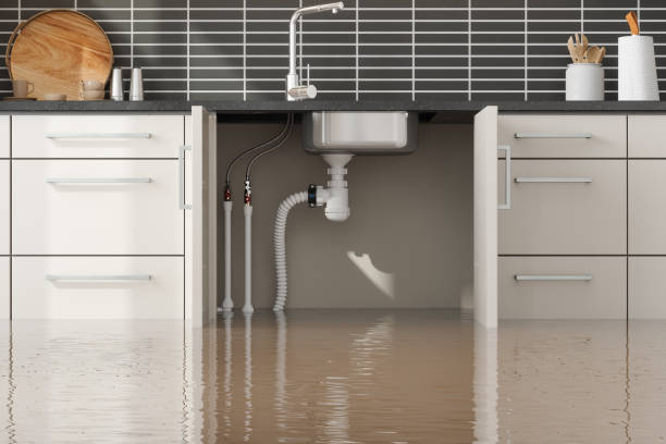 Best Mold removal after water damage  in Arapahoe, WY