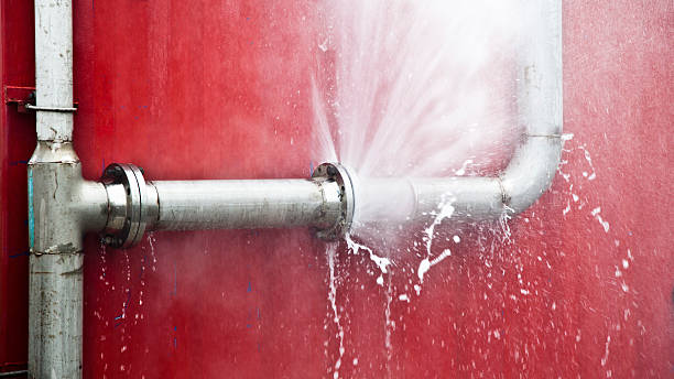 Best Local water damage restoration  in Arapahoe, WY